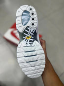 Nike Air Max Tn Cinza e Branco