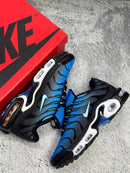 Nike Air Max Tn Aquarius Blue