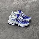 Nike Air Max Tn Purple Dragon