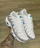 Nike Air Max Tn Ice Metalic